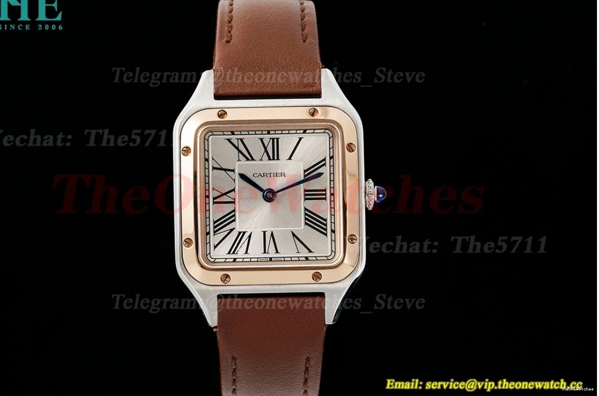 LE AF Dumont RG Silver Dial Brown Santos Quartz 1203